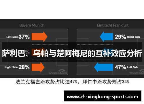 萨利巴、乌帕与楚阿梅尼的互补效应分析