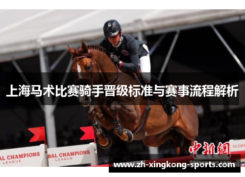 上海马术比赛骑手晋级标准与赛事流程解析