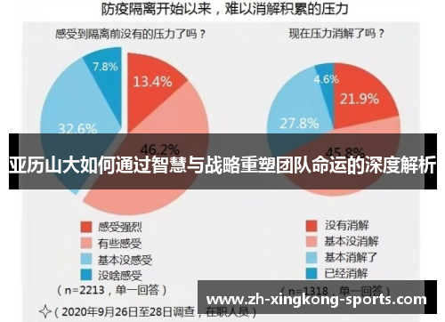 亚历山大如何通过智慧与战略重塑团队命运的深度解析