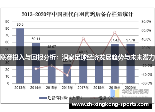 联赛投入与回报分析：洞察足球经济发展趋势与未来潜力