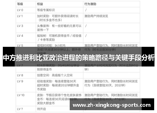 中方推进利比亚政治进程的策略路径与关键手段分析